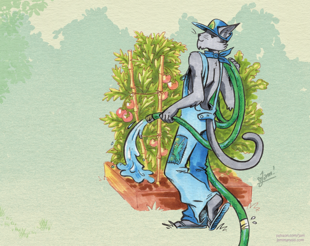 A marker illustration of a grey catte-person in overalls looking back at you while he waters a garden with lots of ripening tomatoes. The hose is wrapped around his arm and it has been repaired at least once. The catte is wearing flip fops and his overalls have also been repaired with a beautiful decorative patch.